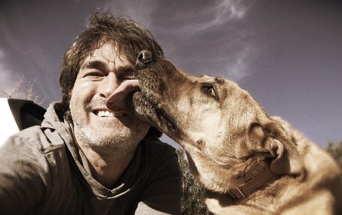 Quando il tuo cane ti lecca: cosa significa e come interpretarlo