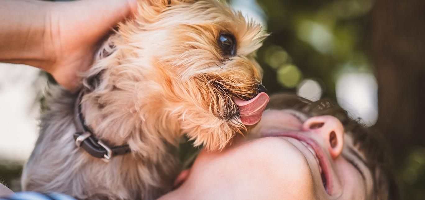 Il linguaggio delle leccate: cosa vuole dirci il tuo cane