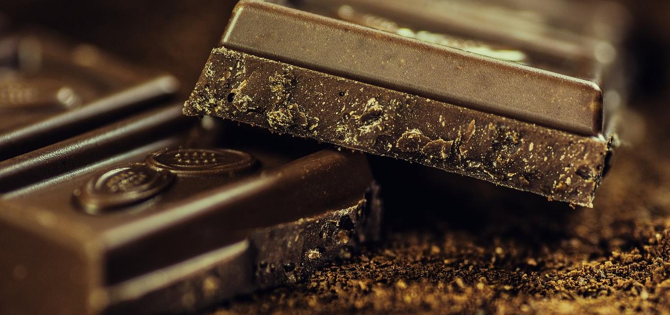 Pericoli del cioccolato per i cani e cosa fare in caso di ingestione