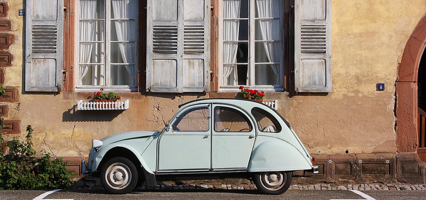 Cane in Auto: Consigli per Viaggi Sicuri