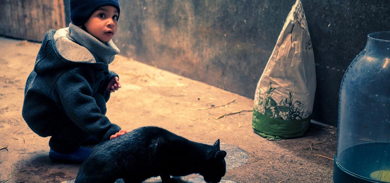 Gatti e bambini: Come gestire l’interazione tra gatti e bambini in modo positivo.